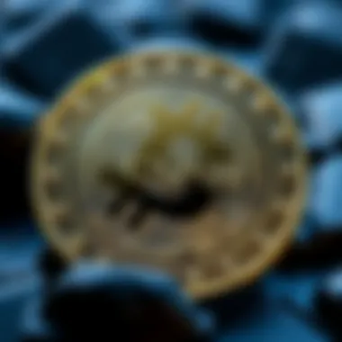 Magnificent CSPR Coin의 이해와 전망