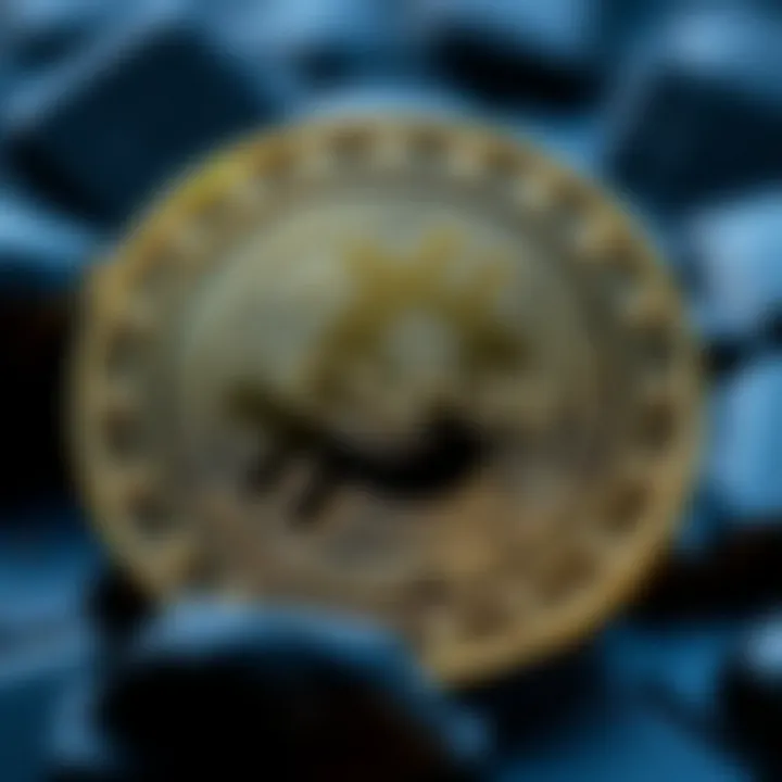 Magnificent CSPR Coin의 이해와 전망