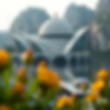 Magnificent 도미인에 대한 심층 탐구