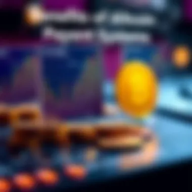 Infographic showing advantages of altcoin payment systems