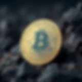 BlackRock logo with Bitcoin symbol