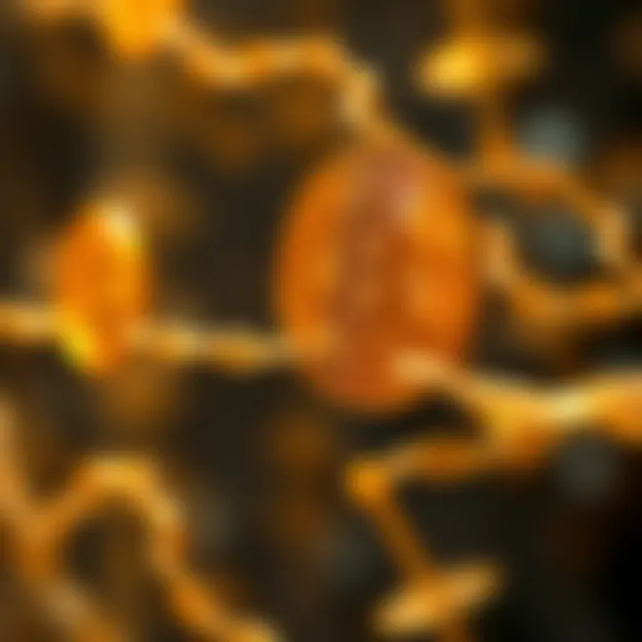 The Intersection of Sequencing and Blockchain Technology Conceptual illustration of cryptocurrency blockchain integration with sequencing