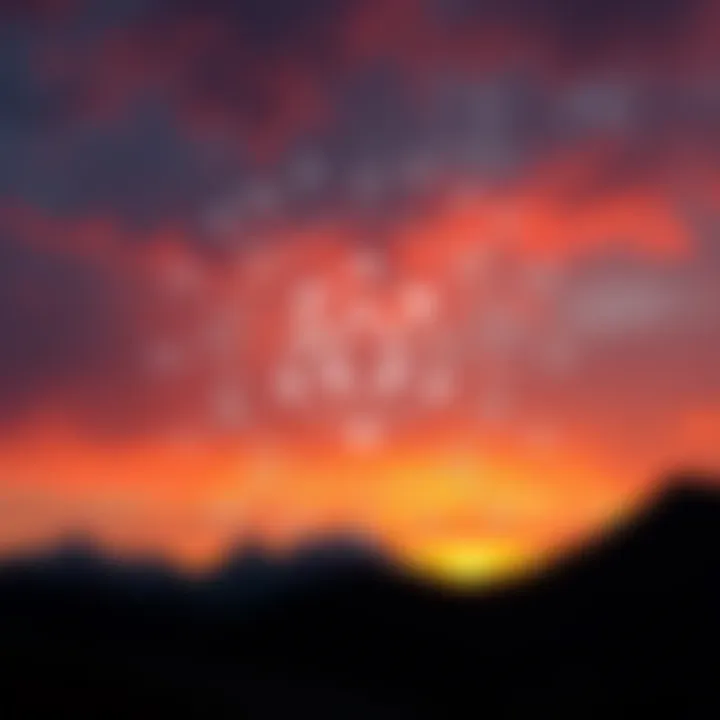 The Complex Ecosystem of Cardano Diagram illustrating the ecosystem of Cardano