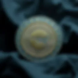 Innovative features of Centrifuge Coin showcased