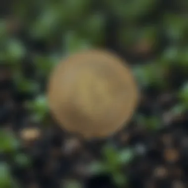 Cryptocurrency and Sustainable Practices Visual representation of cryptocurrency's impact on sustainable practices