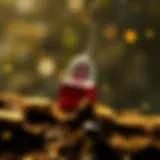 Conceptual illustration of cryptocurrency airdrop mechanics