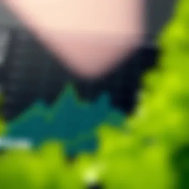 Graph depicting the evolution of cryptocurrency investments