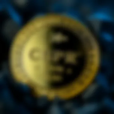 Notable CSPR Coin의 이해와 전망