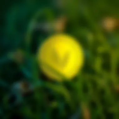 Diagram showcasing the investment potential of grass coin