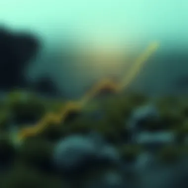 Graph illustrating the technological advancements of grass coin