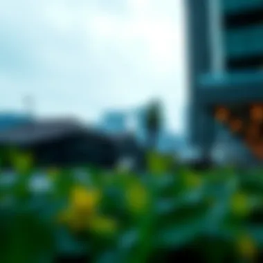 해싱 알고리즘의 모든 것 Summary