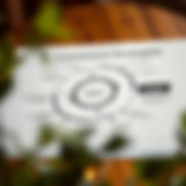 Investment strategy diagram