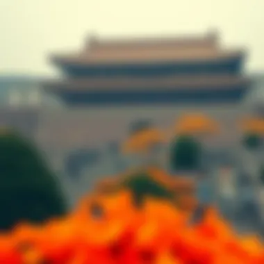 캐시 우드: 혁신적인 투자 철학과 암호화폐 시장의 미래 Summary 캐시 우드: 혁신적인 투자 철학과 암호화폐 시장의 미래 Summary