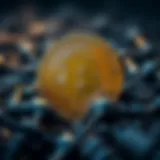 Conceptual illustration of Bitcoin