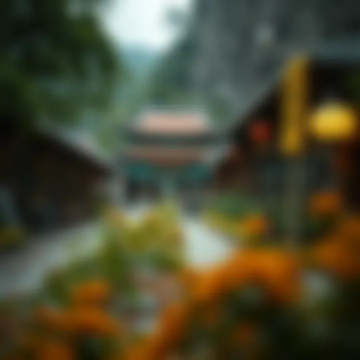 Historical Background of Kurs Won Infographic on historical background of Kurs Won