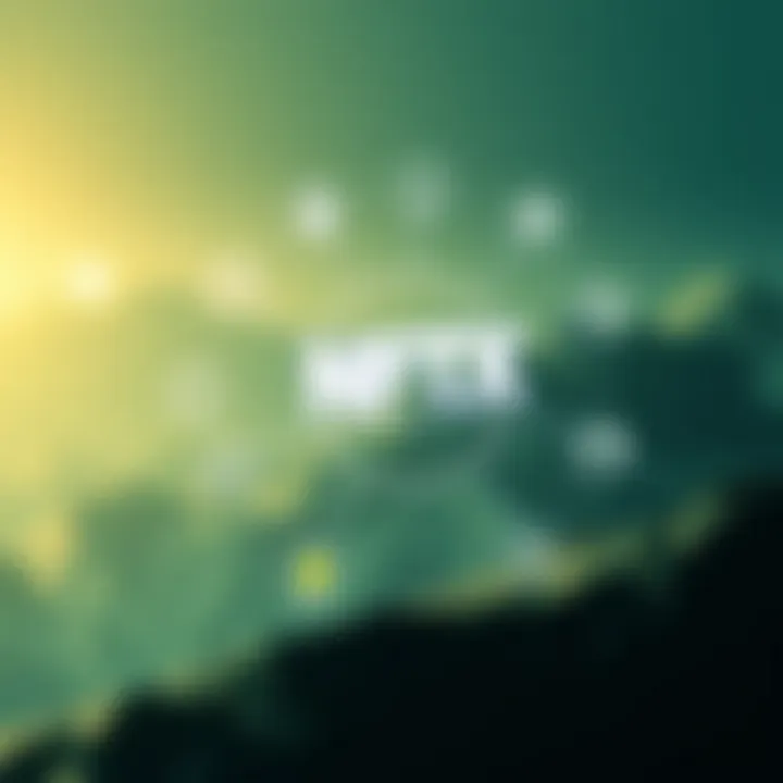 Conceptual representation of NFTX ecosystem