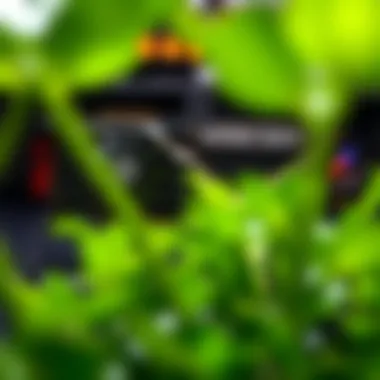 Investment Analysis of NVIDIA 3070 Investment analysis of NVIDIA 3070 graphics card