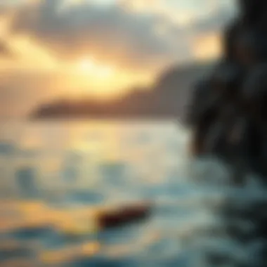 Case studies on the utilization of Opensea metadata