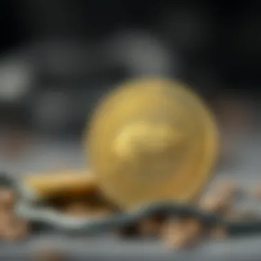 Rats Coin: 심층 분석과 그 이면 Summary Rats Coin: 심층 분석과 그 이면 Summary