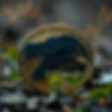 Detailed analysis of Raven cryptocurrency price trends