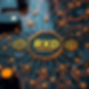 A detailed diagram illustrating RXD coin's technology infrastructure