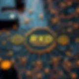 Technology Infrastructure of RXD Coin A detailed diagram illustrating RXD coin's technology infrastructure