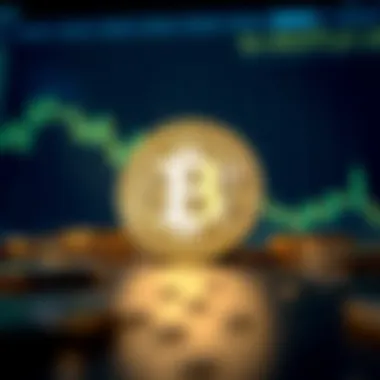 Investment strategies utilizing the Shiller PE ratio in cryptocurrency