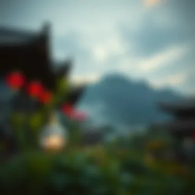 Future of Sui Airdrop Future prospects of Sui Airdrop
